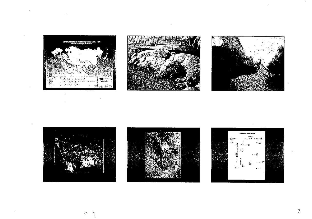 2002 Page 041